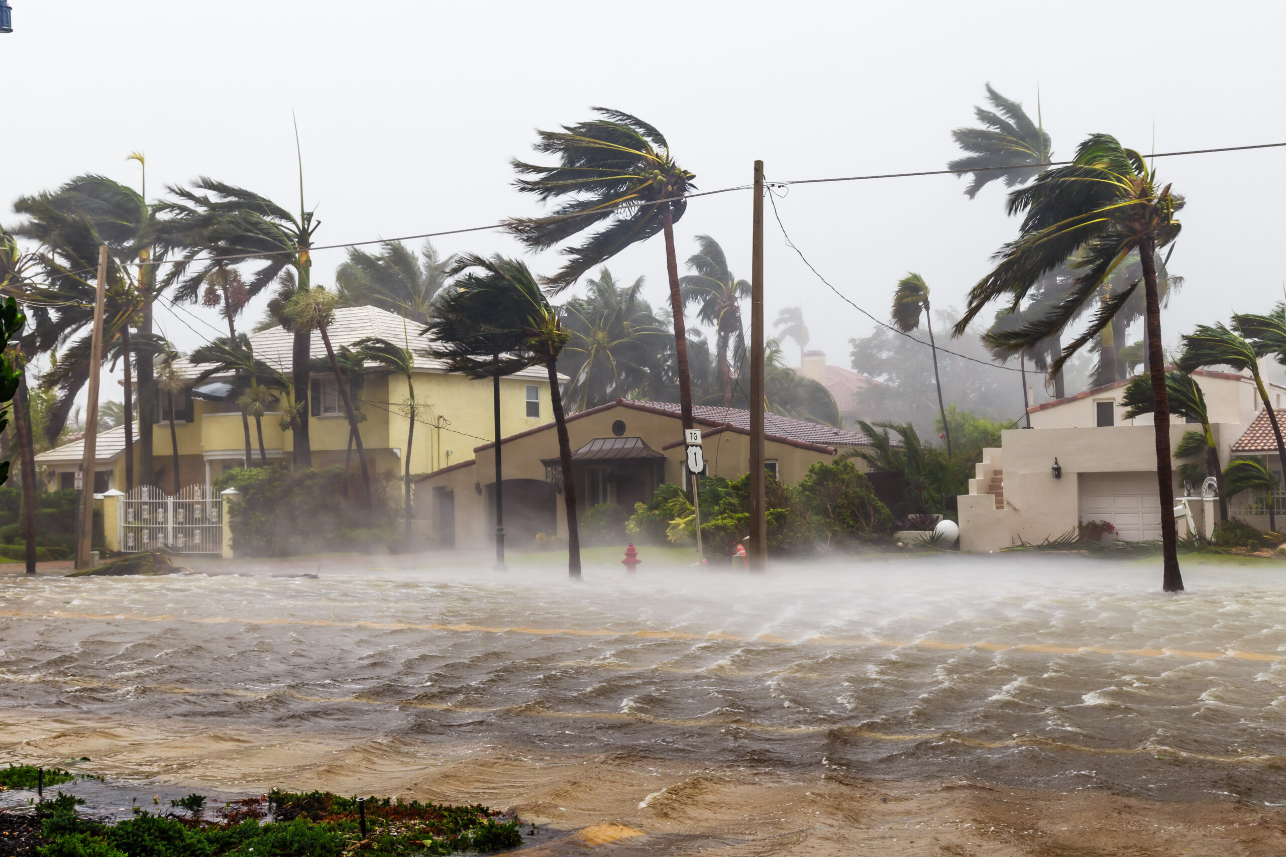 Catastrophic hurricane Irma